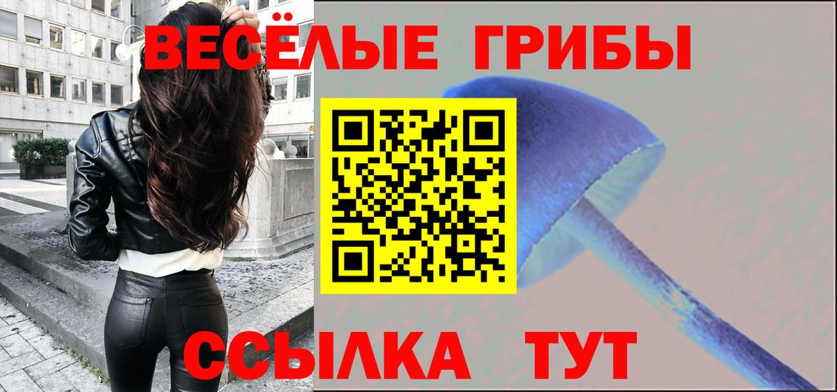 Псилоцибиновые грибы мухоморы  Вход с VPN  Зима 